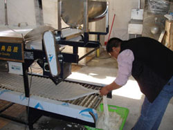 客戶收獲自己生產(chǎn)的河粉.jpg 客戶收獲自己生產(chǎn)的河粉.jpg